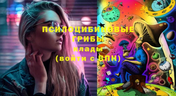 марки lsd Белокуриха